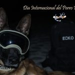 Día Internacional del Perro Rescatista