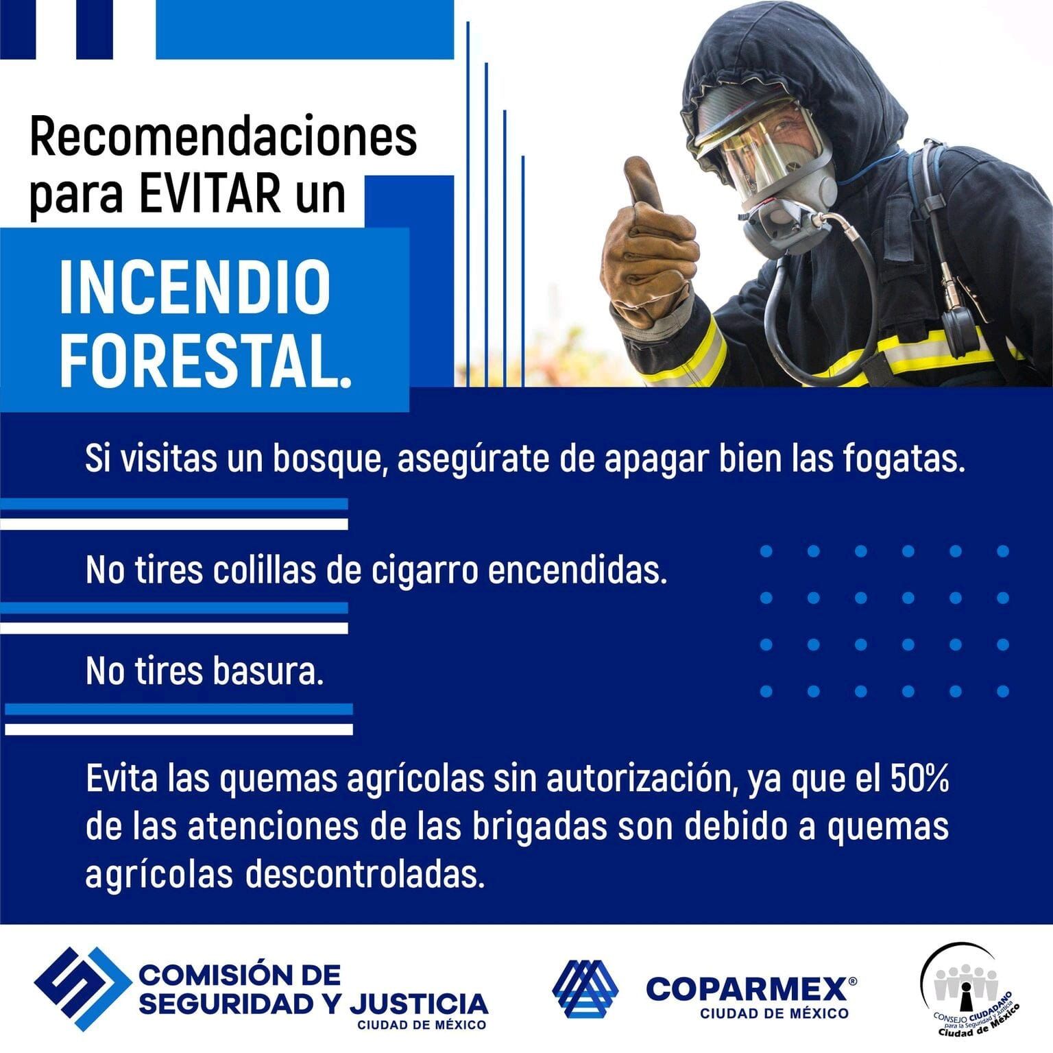 Recomendaciones Para Evitar Un Incendio Forestal Usec Network Magazine 8520