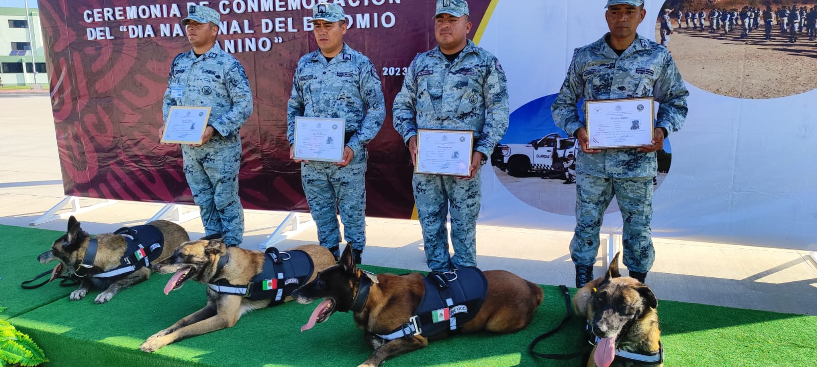 Empresas que recurren a caninos de vigilancia, deberán cumplir estos  compromisos - Capital